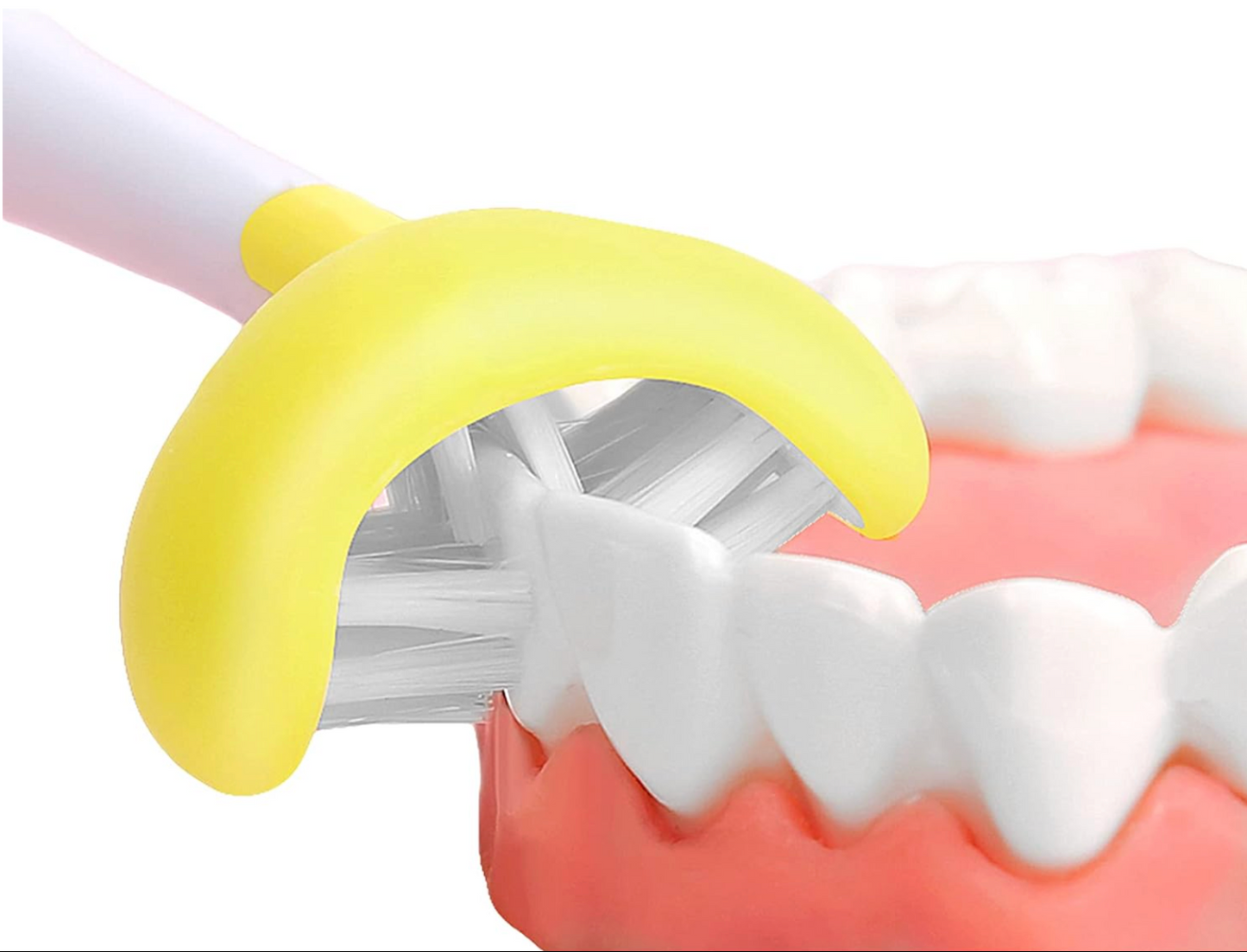 Adult Soft -Bristle Toothbrush