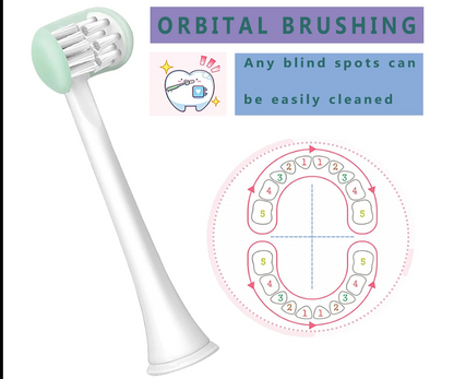 Adult Soft -Bristle Toothbrush